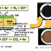 NOx触媒とDPFをひとつにまとめる…産総研が開発