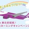 ピーチ、機体のネーミングを募集