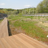 ホンダの寄居工場
