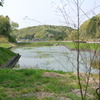 ビオトープ
