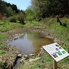 埼玉製作所寄居工場 東側ビオトープ