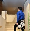 住宅内におけるロボティクス技術活用の検証の様子（体重支持型歩行アシスト）