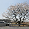 住友ゴム VEURO VE303 試乗会のようす