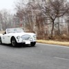 Coppa di Koumi2013…イタリア・イギリス編［写真蔵］