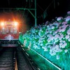 箱根登山鉄道