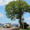 メルセデスベンツ・280