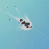 ADAMレーザーシステムによるカッサムロケットの撃墜実演（動画キャプチャ）