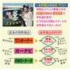 すごい！クチコミ式 女性集客法