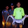 オオトカゲがニワトリがぶり　タイ北部スコータイ