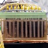 実験に用いられた今回の微生物燃料電池装置。