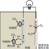 微生物燃料電池の模式図(M:電子メディエータ)。