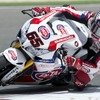 WSB ジョナサン・レイ選手