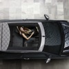 シトロエン DS3 CABRIO Sport Chic