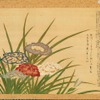 松平定朝筆「花菖蒲画賛」（雜花園文庫蔵）