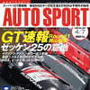ゼッケン25の意地…スーパーGT ROUND1速報