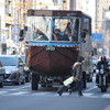 陸路でも目を引くスカイダッグ