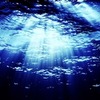 エコー・レンジャーでの海中探検（動画キャプチャ）