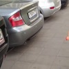 スバルや三菱車などを前に、メーカー名を言い当てるロシアの二歳の女の子