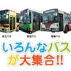 バスまつり2013 in 晴海