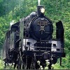9月7・8日に左沢線で「SL『山形日和。』号」として運転されるC11形蒸気機関車の325号機。真岡鐵道から借り入れる。