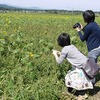 白石・丸森おでかけガイド