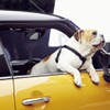 新型MINI ハッチバック のCM撮影シーン