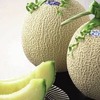 JAL、日本郵便と提携して「日本食」の輸出を促進