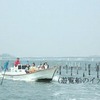 浜名湖遊覧社会実験