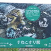 高松町駅は「すねこすり駅」。