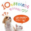 11月の「エコドライブ推進月間」に広報活動を展開