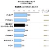 2013年日本リプレイスタイヤ顧客満足度調査