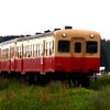 小湊鉄道線を走る気動車。10月の台風26号の影響で今も養老渓谷～上総中野間の運休が続いている。