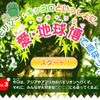 【報道企画】モリゾー＆キッコロと愛・地球博で遊ぼう! -3日目