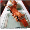 Huang Mingboシェフがロブスターの殻で作成したオートバイのミニチュアモデル