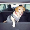 VW ゴルフ ヴァリアント コンフォートライン