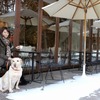 アウトランダーPHEVと愛犬の旅…雪景色の富士河口湖リゾートを満喫