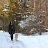アウトランダーPHEVと愛犬の旅…雪景色の富士河口湖リゾートを満喫