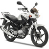 ヤマハ・YBR125