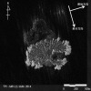 JAXA、小笠原諸島西之島付近の観測結果（出典：JAXA）