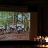 岡崎市立秦梨小学校の発表。学校田なども作っている