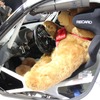 BMW Sports Trophy Team Studie体制発表