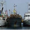 海上保安庁、2013年の海上犯罪取締り状況まとめ