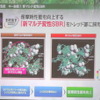 ダンロップ エナセーブ EC203 試走会