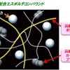オートバックス・エスポルテ AB01