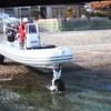 SEALEGS