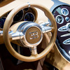 ブガッティ・ヴェイロン16.4グランスポーツ VITESSE』「レンブラント・エディション」