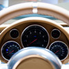 ブガッティ・ヴェイロン16.4グランスポーツ VITESSE』「レンブラント・エディション」