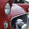 1956年式　フォード サンダーバード