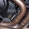 DIAVEL CARBON