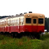 小湊鉄道線を走る気動車。3月20日に全線の運転を再開した。